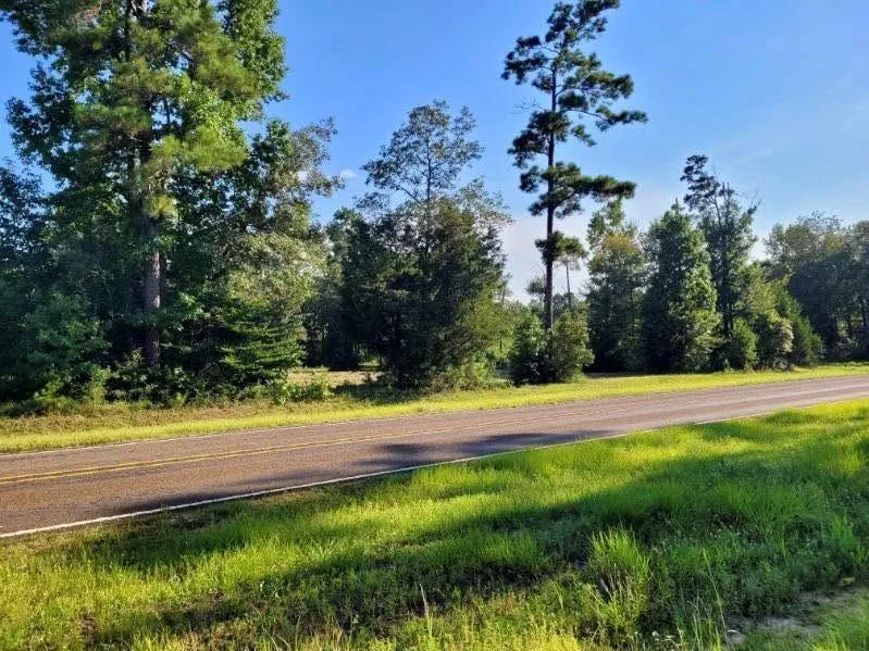Fm 1013 Hillister, TX 77624
