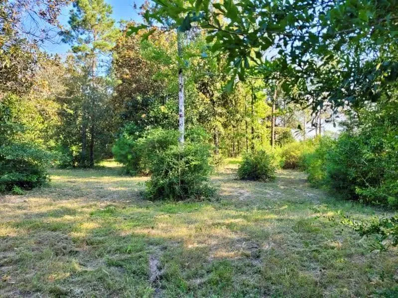 Fm 1013 Hillister, TX 77624