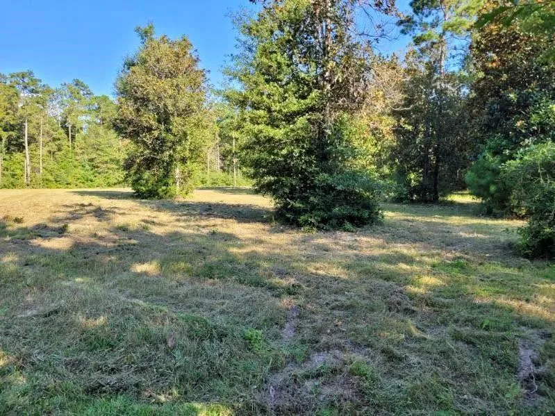 Fm 1013 Hillister, TX 77624