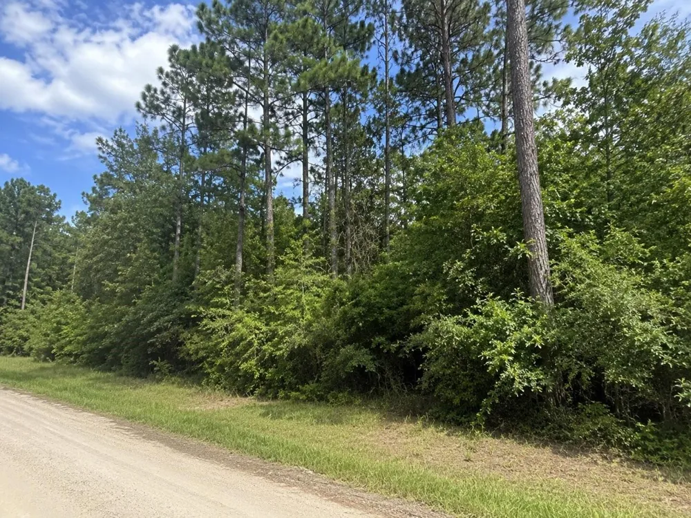 Twelfth Street Onalaska, TX 77360