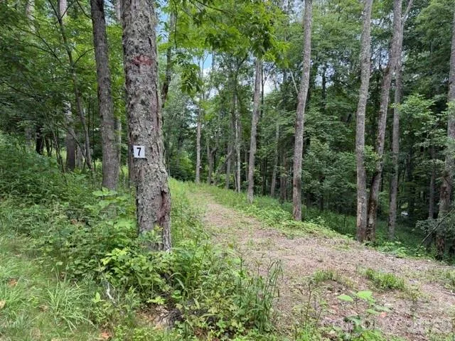 Lot 7 Gadohi Trail #7 Maggie Valley, NC 28751