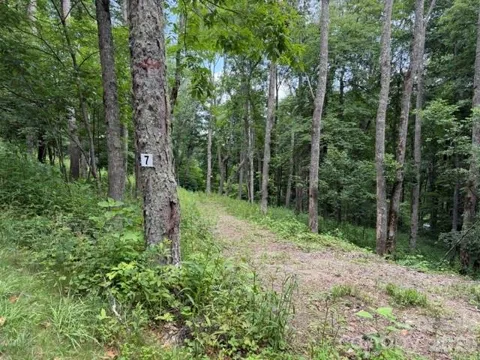 Lot 7 Gadohi Trail #7