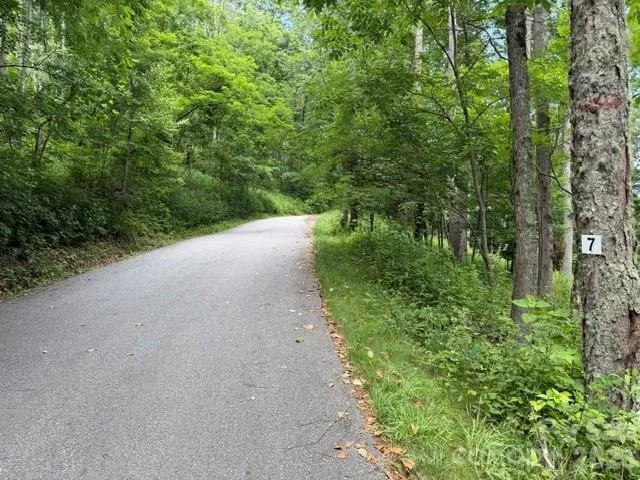Lot 7 Gadohi Trail #7 Maggie Valley, NC 28751