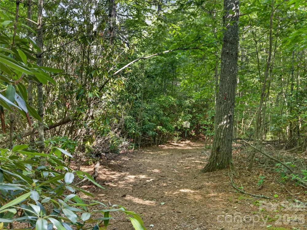 435 Allen Mountain Lane Spruce Pine, NC 28777