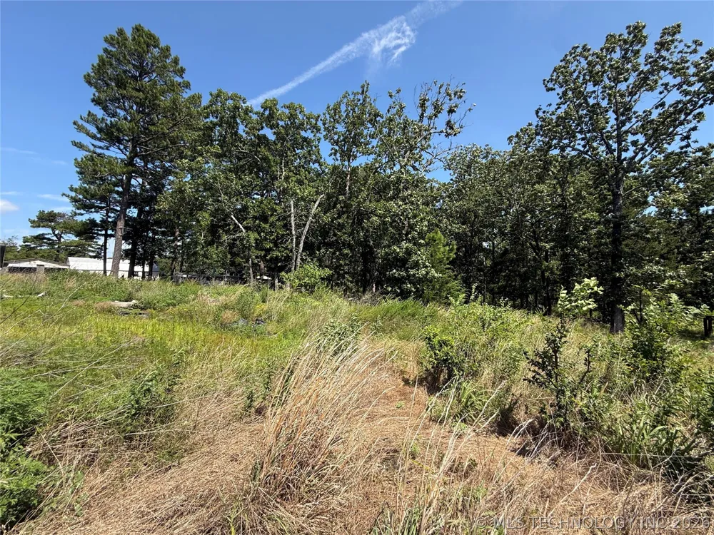 31384 W Tucker Knob Road Kinta, OK 74552