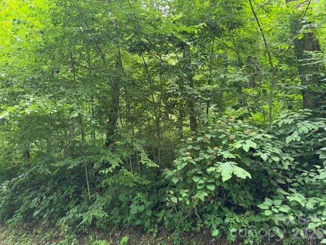 Lot 19 Iga Trail #19 Maggie Valley, NC 28751