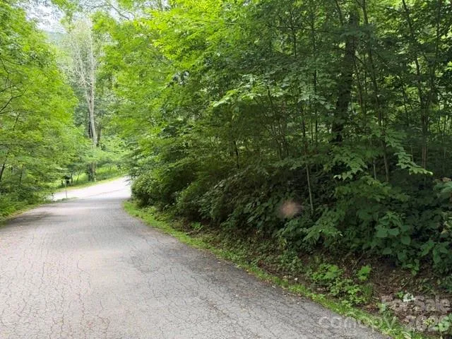 Lot 19 Iga Trail #19 Maggie Valley, NC 28751