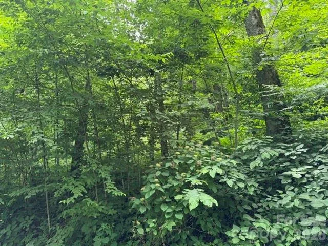 Lot 19 Iga Trail #19 Maggie Valley, NC 28751