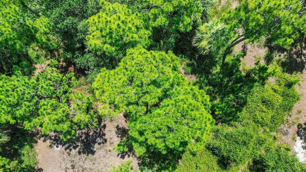 220 Sendero Street Clewiston, FL 33440