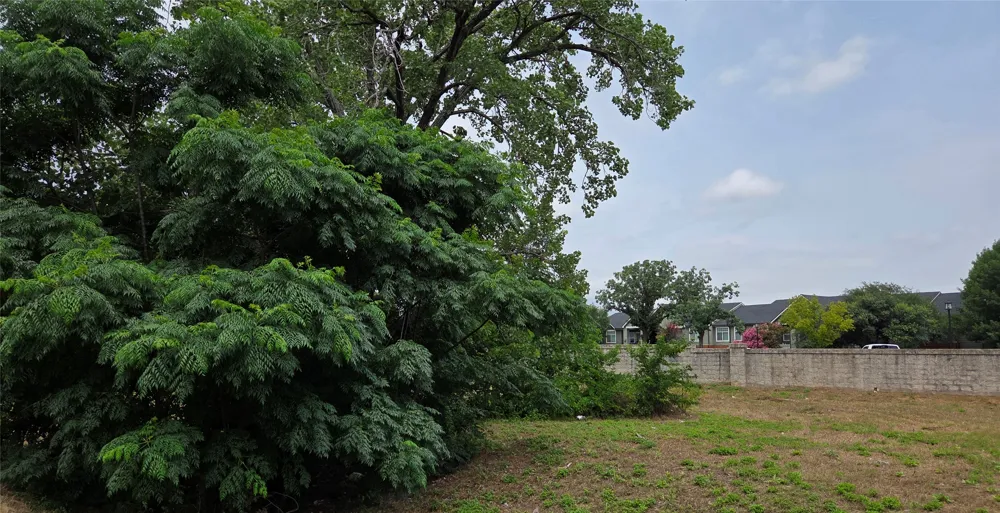 530 W 22nd Street Georgetown, TX 78626