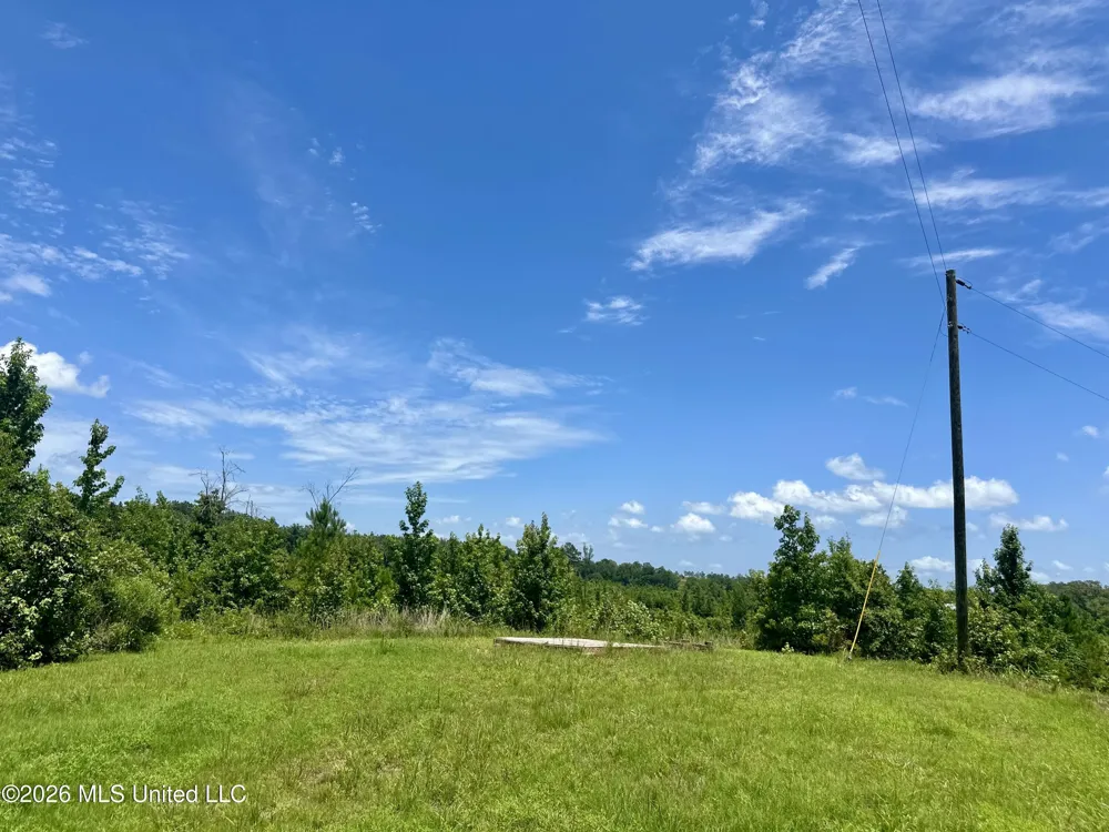 3390 Attala Road 3027 Kosciusko, MS 39090