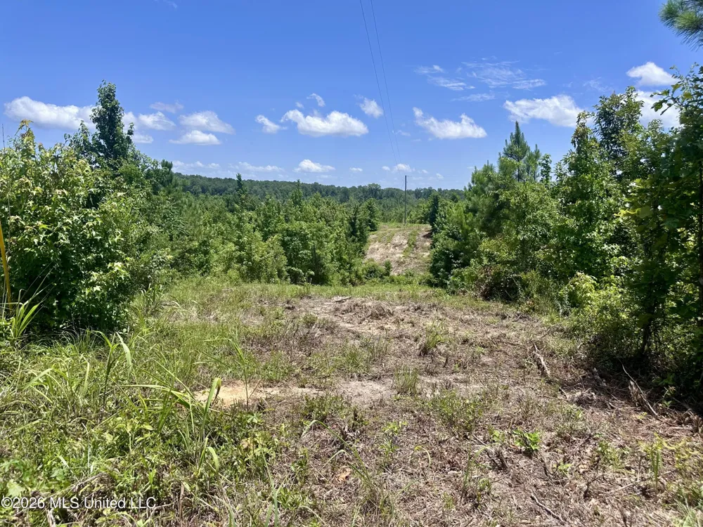 3390 Attala Road 3027 Kosciusko, MS 39090