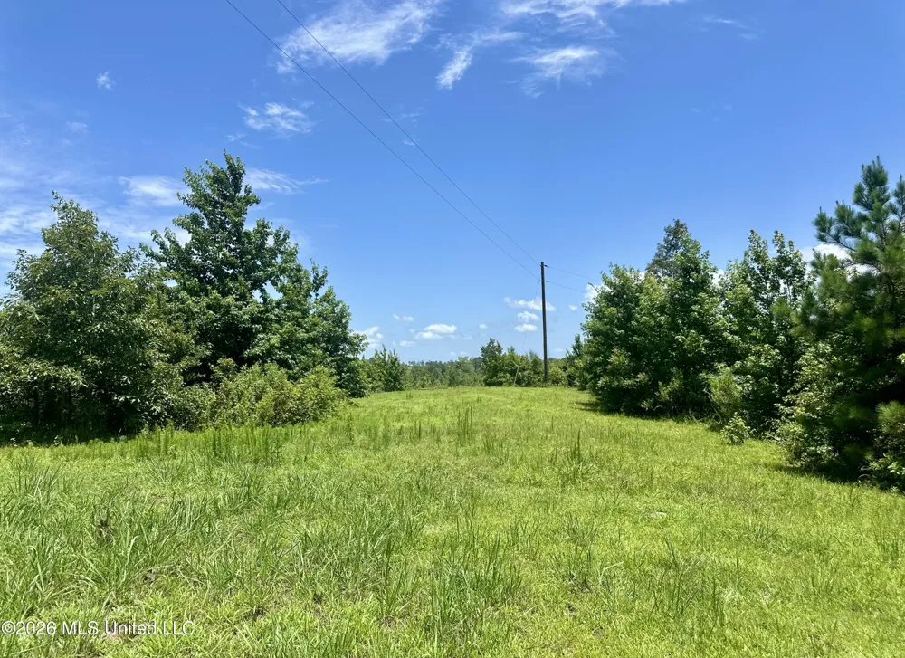 3390 Attala Road 3027 Kosciusko, MS 39090