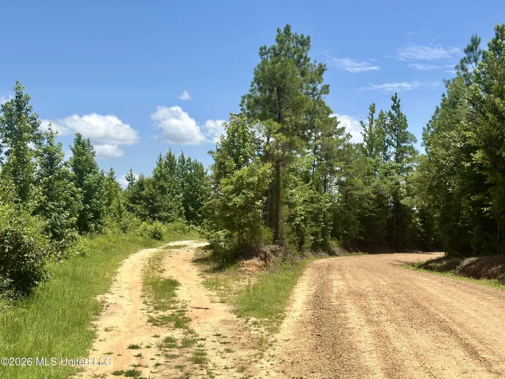 3390 Attala Road 3027 Kosciusko, MS 39090