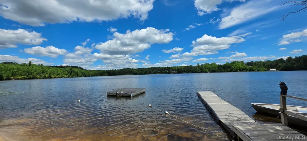 1192 State Route 52 #2 A Loch Sheldrake, NY 12759
