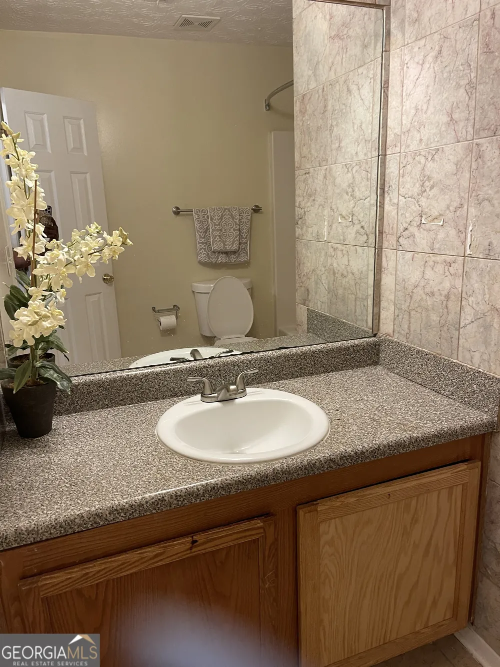 589 Carlton Pointe DR Palmetto, GA 30268