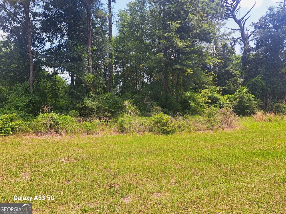 1100 Point Peter RD St. Marys, GA 31558