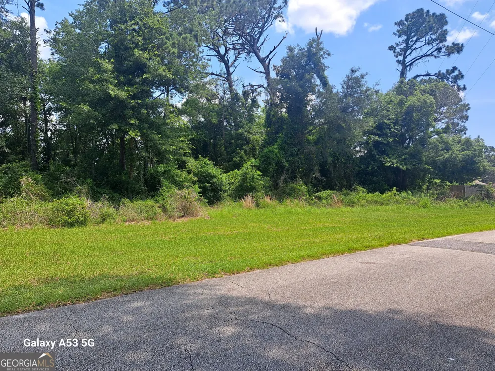 1100 Point Peter RD St. Marys, GA 31558
