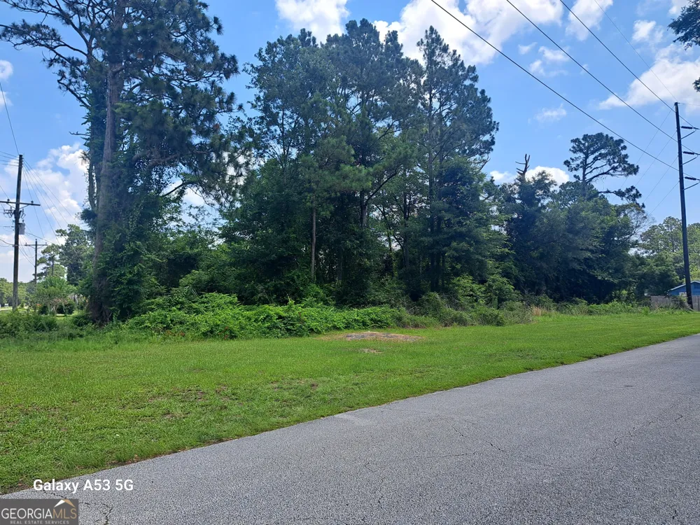 1100 Point Peter RD St. Marys, GA 31558