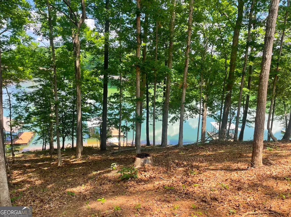 145 Sweet Gum DR Westminster, SC 29693