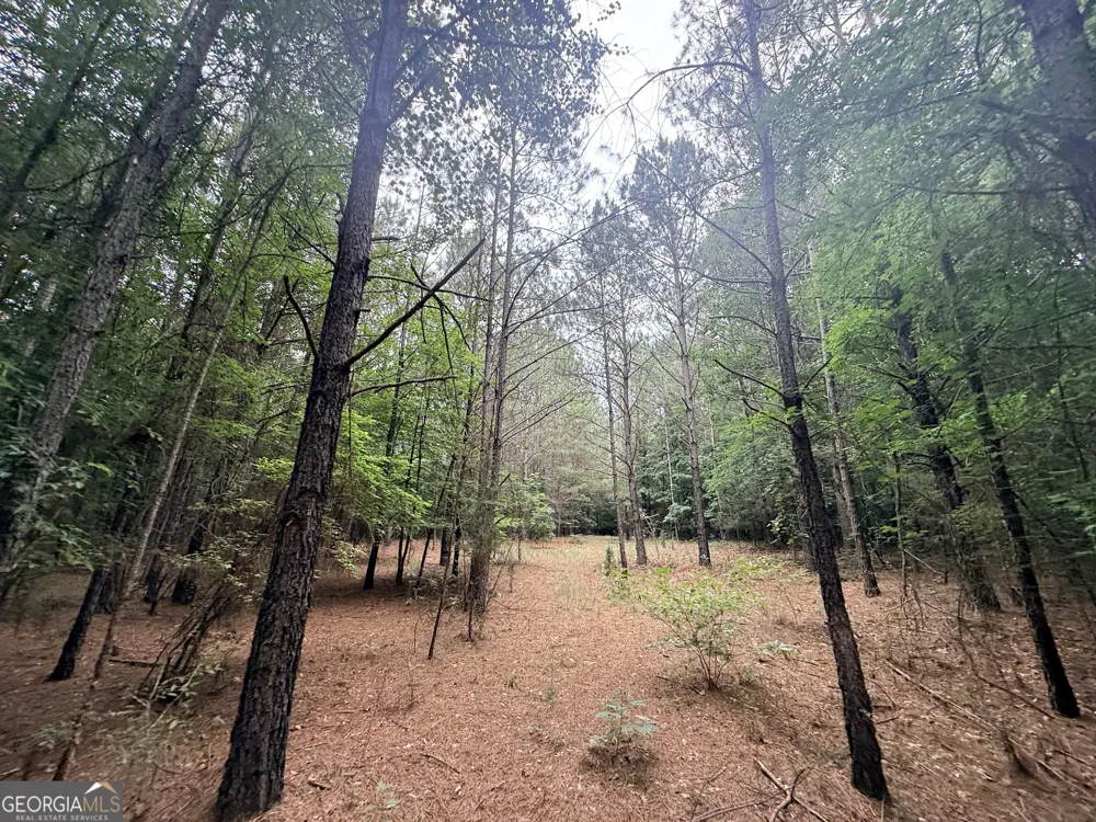 1 Bethesda Church RD Lexington, GA 30648