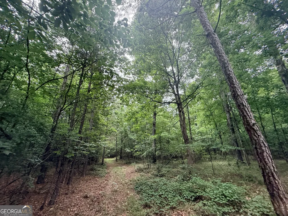 1 Bethesda Church RD Lexington, GA 30648