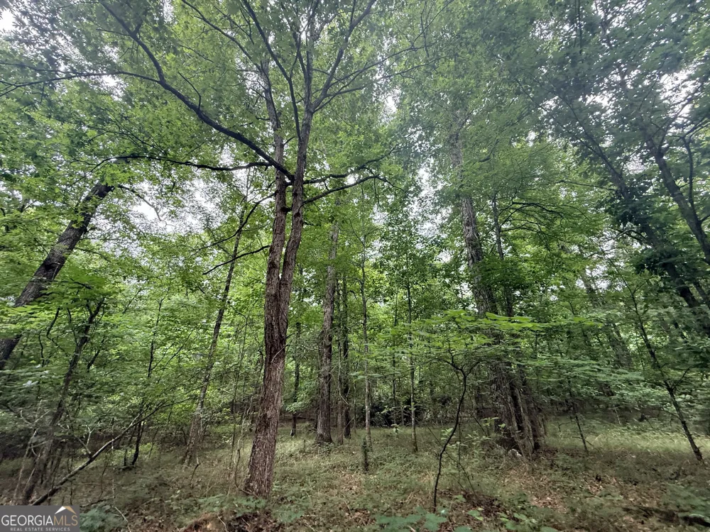 1 Bethesda Church RD Lexington, GA 30648