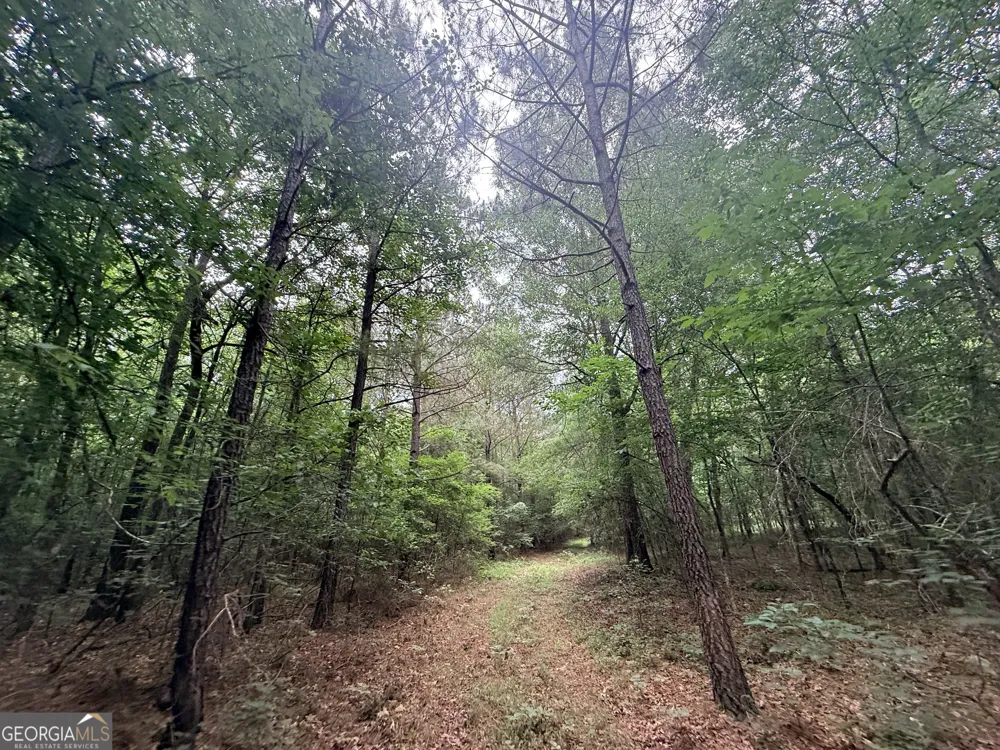 1 Bethesda Church RD Lexington, GA 30648