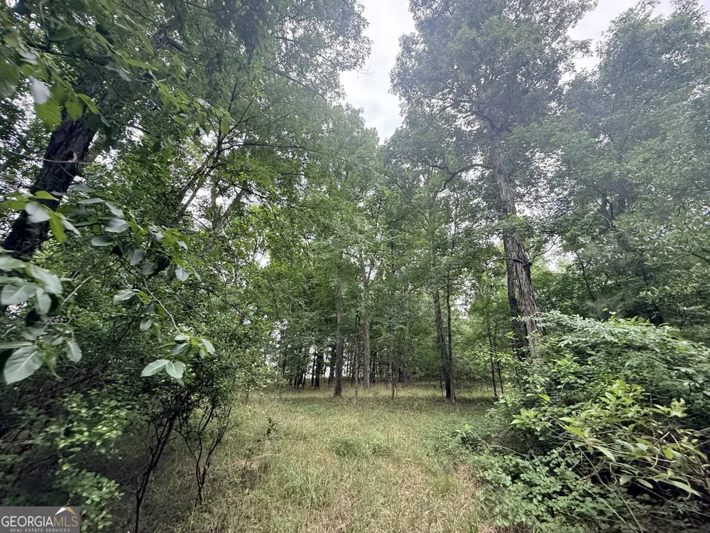 1 Bethesda Church RD Lexington, GA 30648
