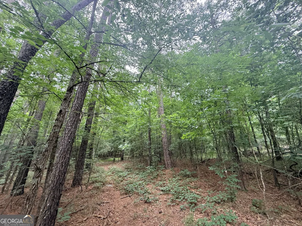 1 Bethesda Church RD Lexington, GA 30648