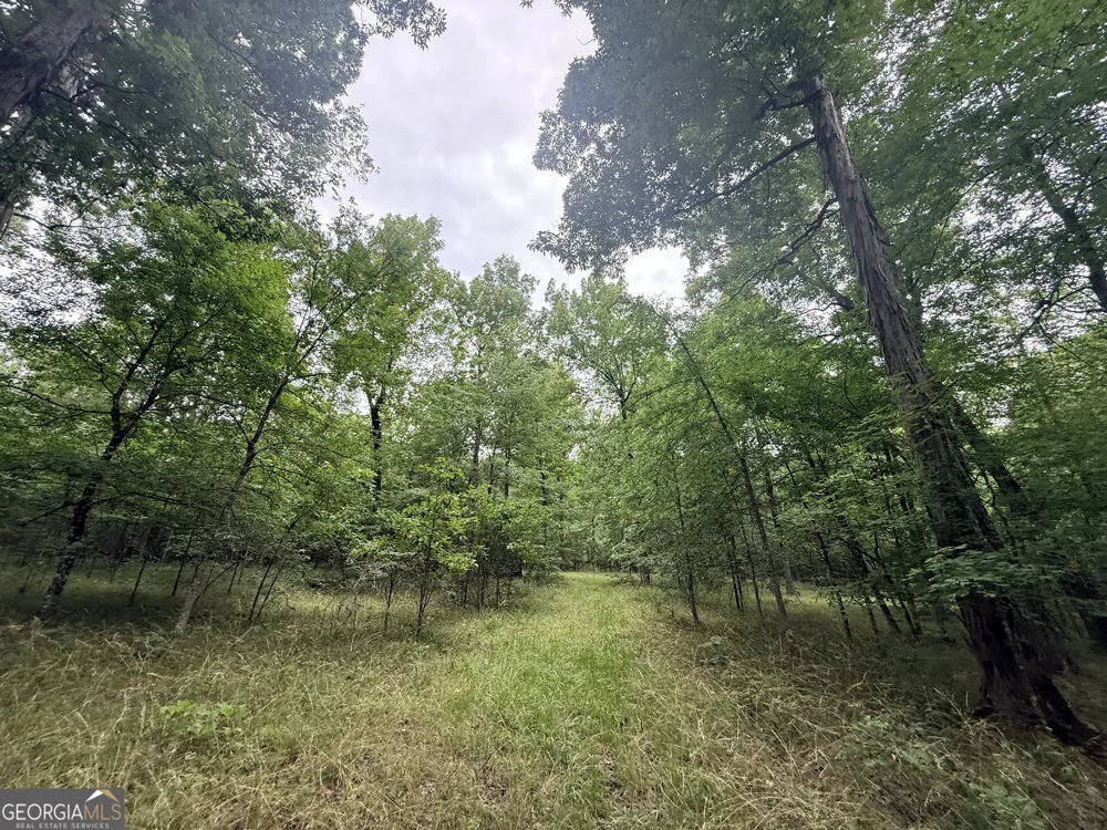 1 Bethesda Church RD Lexington, GA 30648