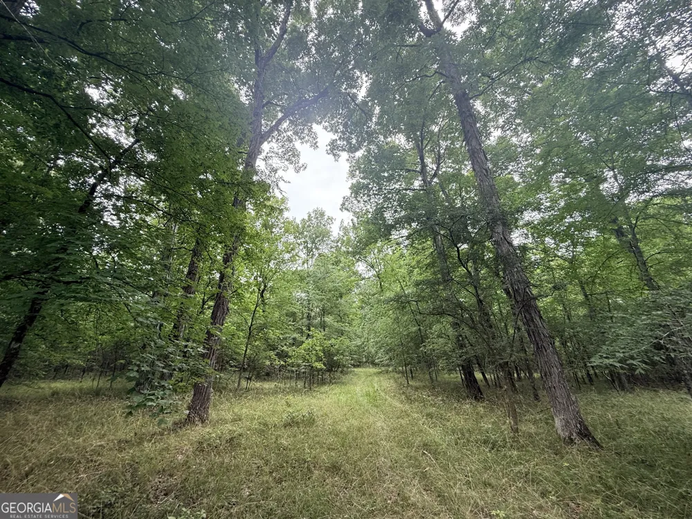 1 Bethesda Church RD Lexington, GA 30648