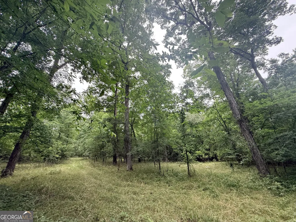 1 Bethesda Church RD Lexington, GA 30648