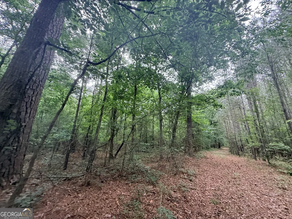 1 Bethesda Church RD Lexington, GA 30648