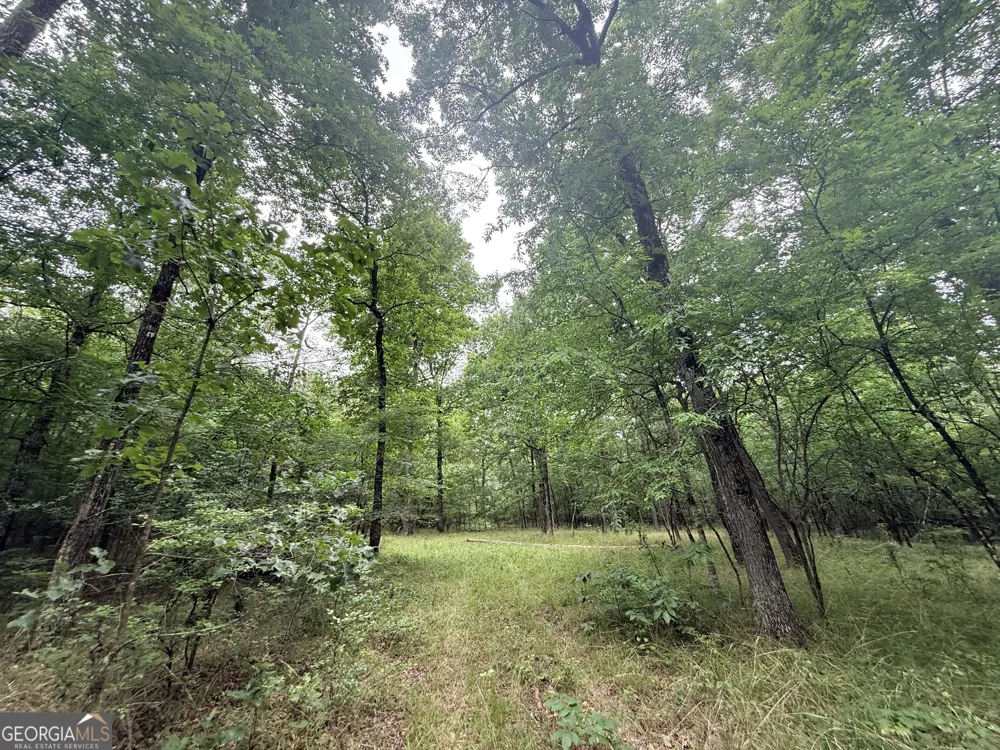 1 Bethesda Church RD Lexington, GA 30648