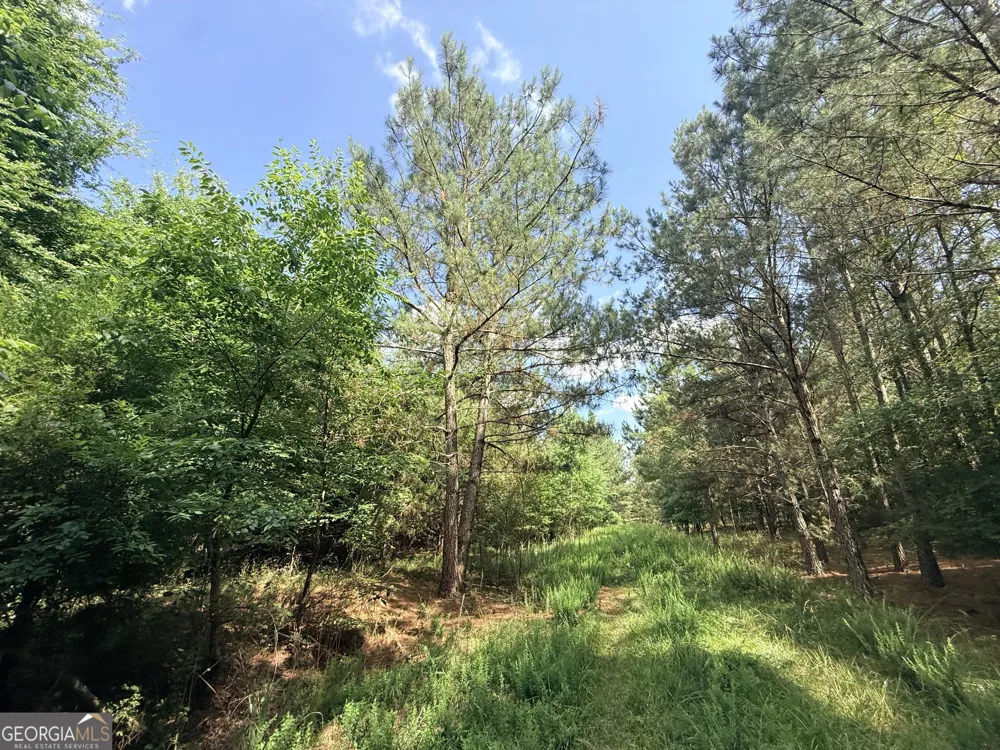 1 Bethesda Church RD Lexington, GA 30648