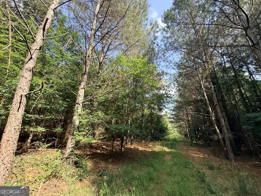 1 Bethesda Church RD Lexington, GA 30648