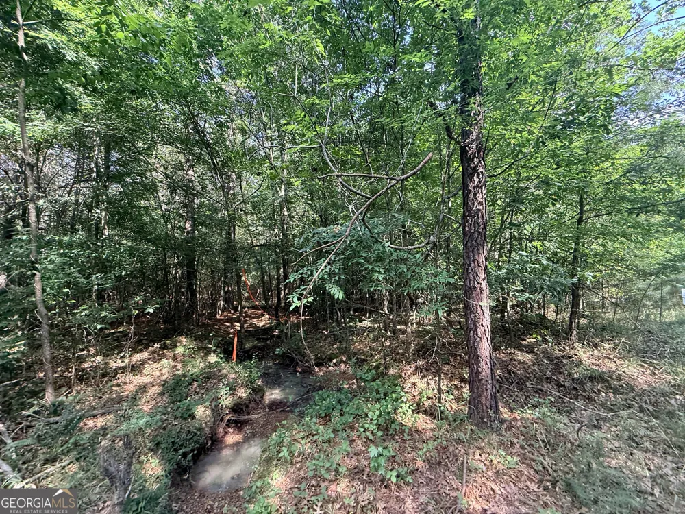 1 Bethesda Church RD Lexington, GA 30648