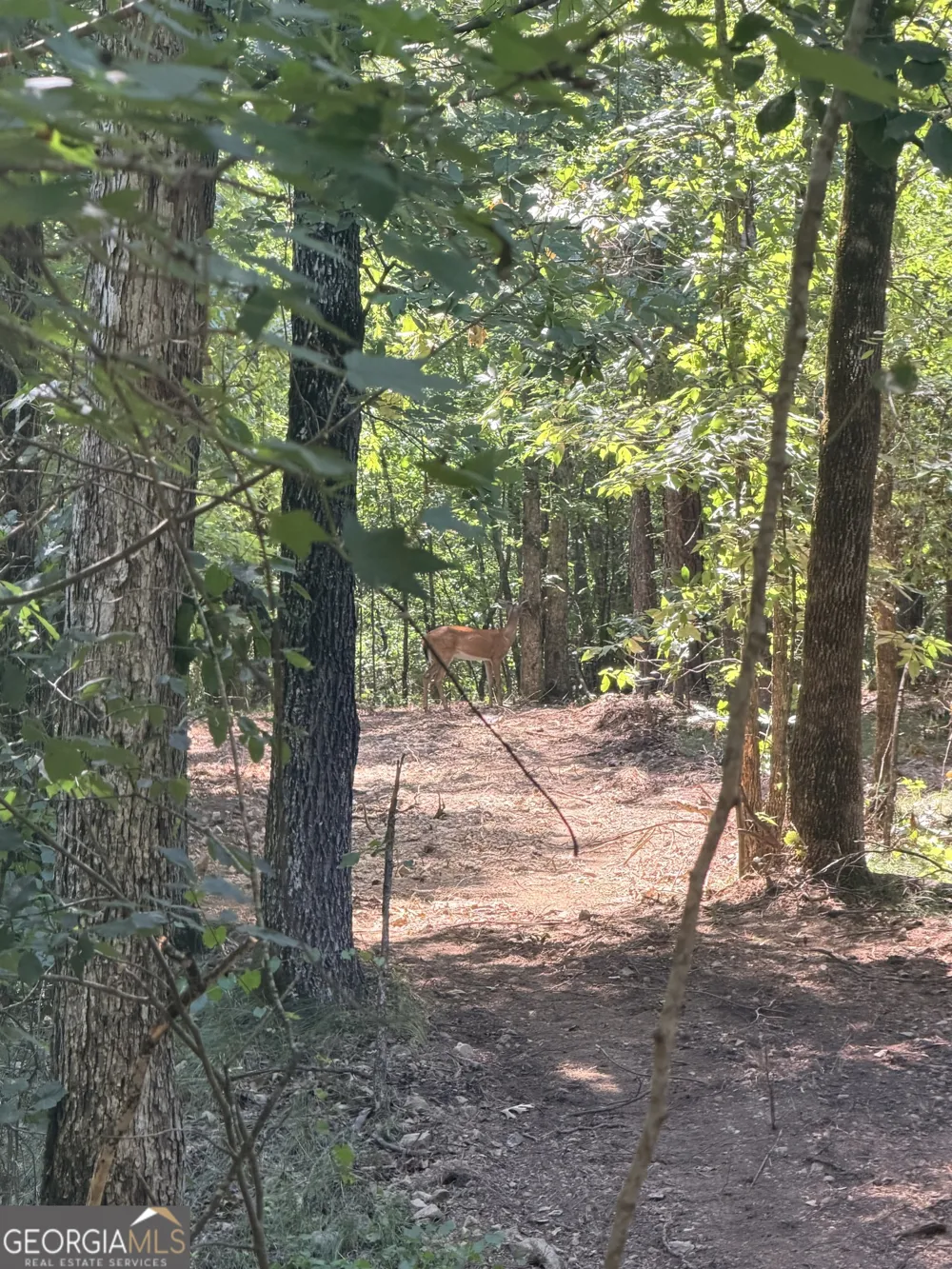 1 Bethesda Church RD Lexington, GA 30648