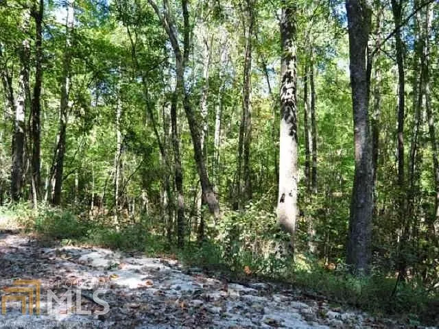 3312 S Mckoy RD Villa Rica, GA 30180