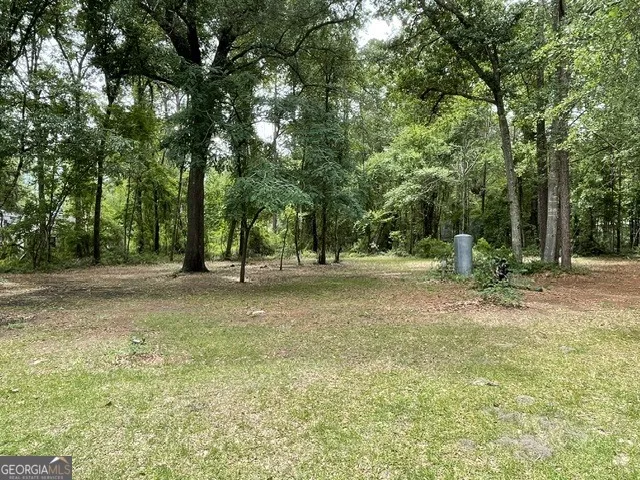 1465 Webb CIR Metter, GA 30439