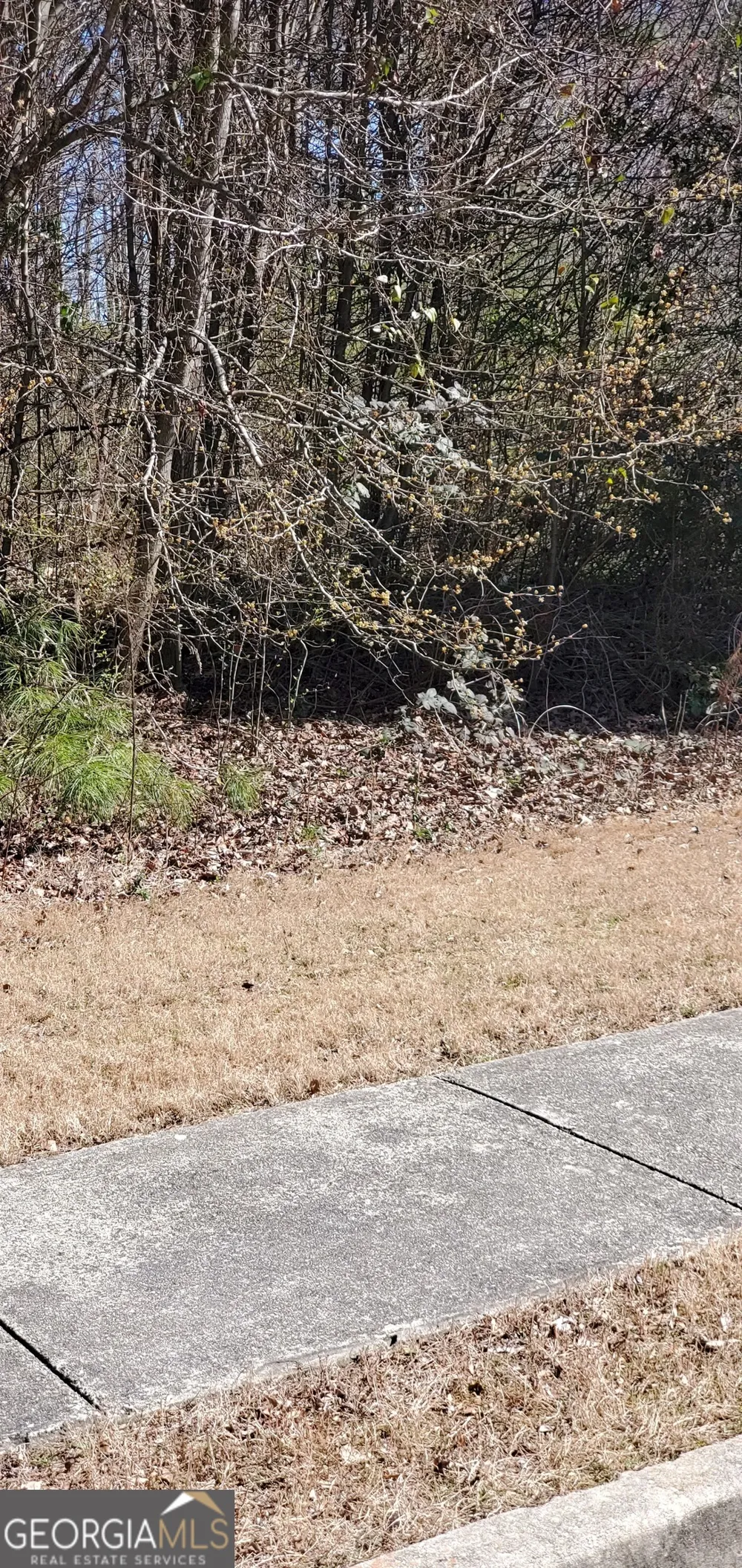 3447 Tiffany Cove DR Loganville, GA 30052