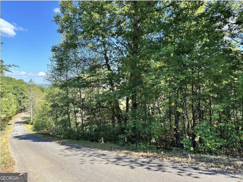 LOT 3 Ruby Ridge Young Harris, GA 30582