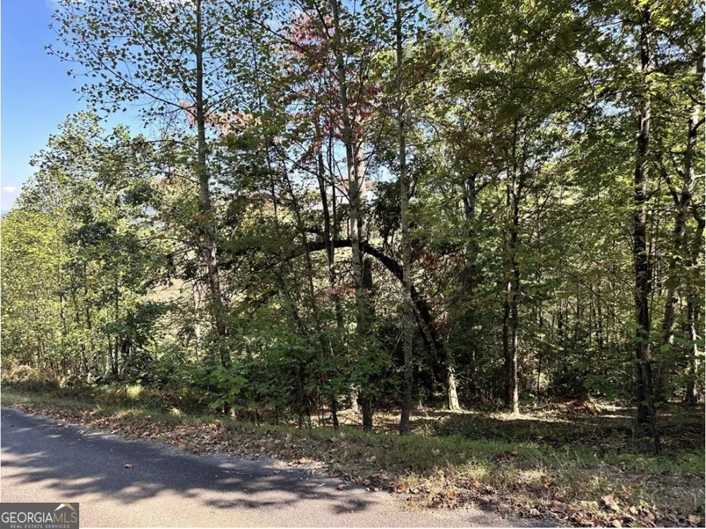 LOT 3 Ruby Ridge Young Harris, GA 30582