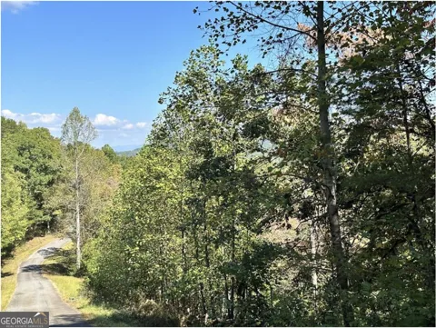 LOT 3 Ruby Ridge
