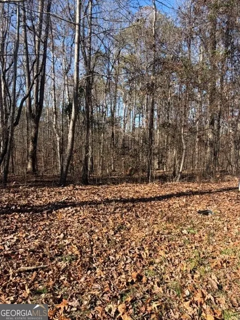 120 Oak Terr Fayetteville, GA 30214