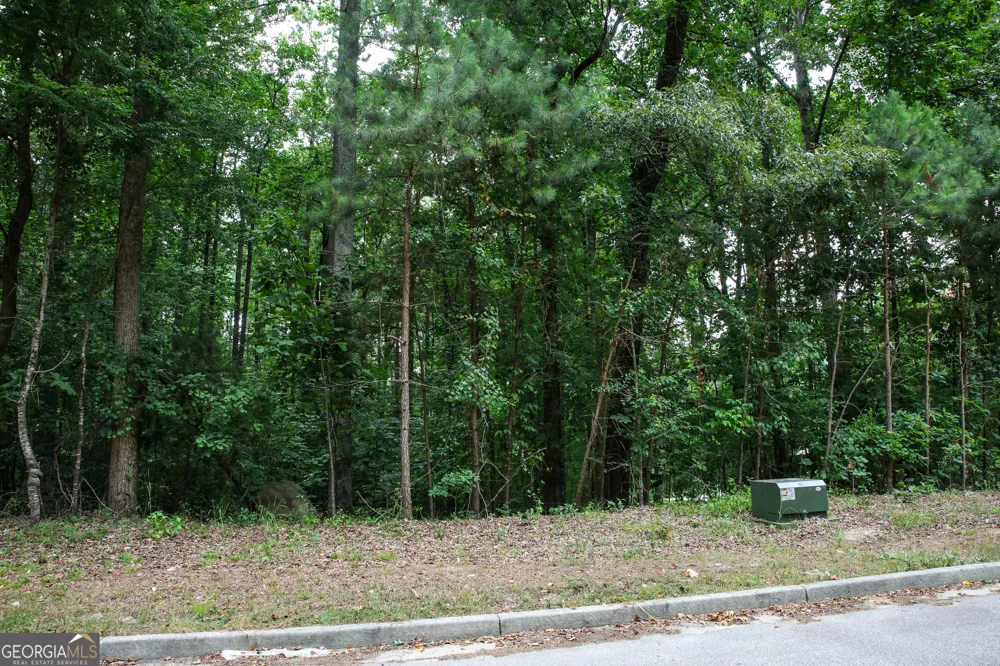 120 Oak Terr Fayetteville, GA 30214