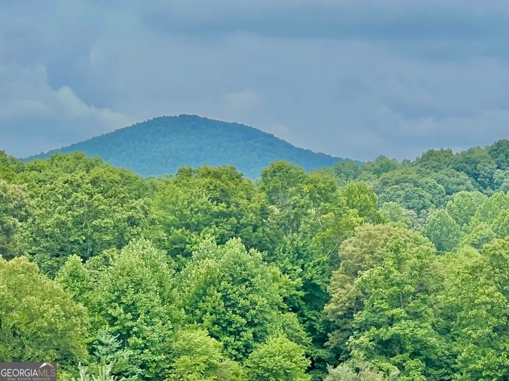 48 Madeline WAY Blairsville, GA 30512