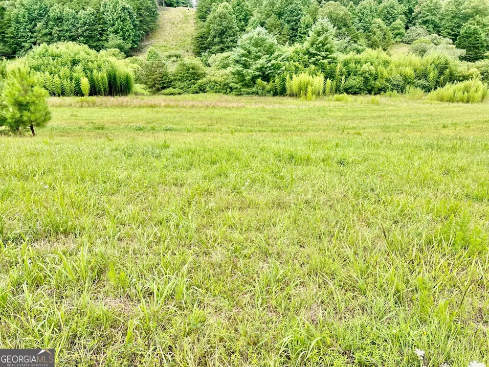 48 Madeline WAY Blairsville, GA 30512