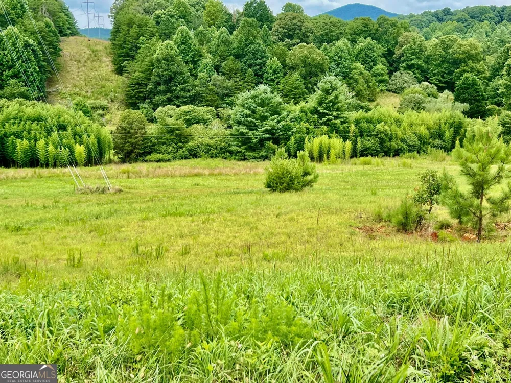 48 Madeline WAY Blairsville, GA 30512
